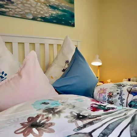 Feldberg Im Schwarzwald