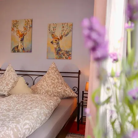 Feldberg Im Schwarzwald *