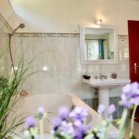 Feldberg Im Schwarzwald Hébergement de vacances